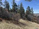 101 Oak Meadow Dr Drive - Photo 3