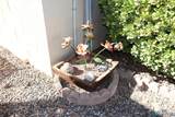 3018 Las Cruces St - Photo 23