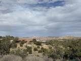 1307 Country Club Place - Photo 41