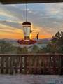 1711 Linda Drive - Photo 41