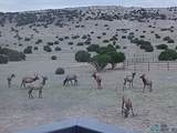 136-A Deer Circle Road - Photo 36