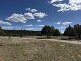 16 Overlook Road - Photo 2