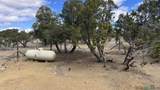 12 Ponderosa Vista Blvd Road - Photo 32