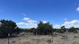 12 Ponderosa Vista Blvd Road - Photo 44