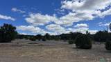 12 Ponderosa Vista Blvd Road - Photo 45