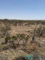5202 2nd Street - Photo 2