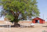 612 State Road 523 Road - Photo 10