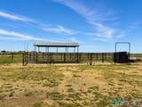 135 Cottonwood Road - Photo 50