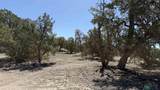30 Old Stage Rd Road - Photo 25
