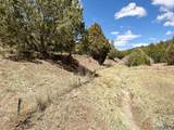 53 County Road B44c - Photo 27