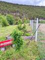 53 County Road B44c - Photo 48