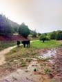 53 County Road B44c - Photo 50