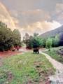 53 County Road B44c - Photo 51