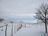 12518 Hwy 60 - Photo 82