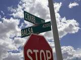 4216 Balsa Street - Photo 39