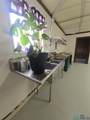 4225 Elote Drive - Photo 44