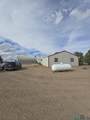 4225 Elote Drive - Photo 48