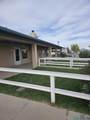 4225 Elote Drive - Photo 5