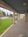 4225 Elote Drive - Photo 9