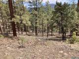 196 Ticonderoga Drive - Photo 26