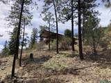 196 Ticonderoga Drive - Photo 28