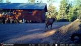 196 Ticonderoga Drive - Photo 44