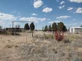 169 Ash Road - Photo 48