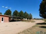 169 Ash Road - Photo 52
