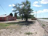 169 Ash Road - Photo 53