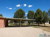 169 Ash Road - Photo 57