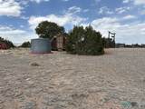 217 Deer Circle - Photo 39