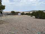 217 Deer Circle - Photo 48