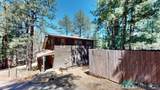 146 Camino Facil Drive - Photo 28