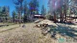 146 Camino Facil Drive - Photo 34