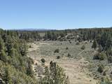 TBD Foredst Service Road 144 Forest - Photo 1