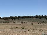 TBD Foredst Service Road 144 Forest - Photo 17