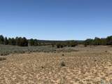 TBD Foredst Service Road 144 Forest - Photo 18