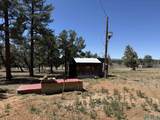 TBD Foredst Service Road 144 Forest - Photo 2