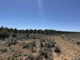 TBD Foredst Service Road 144 Forest - Photo 20