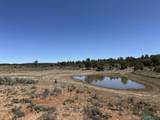 TBD Foredst Service Road 144 Forest - Photo 21