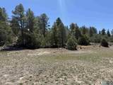 TBD Foredst Service Road 144 Forest - Photo 22