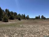 TBD Foredst Service Road 144 Forest - Photo 23