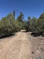 TBD Foredst Service Road 144 Forest - Photo 24