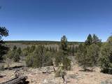 TBD Foredst Service Road 144 Forest - Photo 25