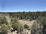 TBD Foredst Service Road 144 Forest - Photo 28