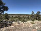 TBD Foredst Service Road 144 Forest - Photo 29
