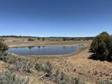 TBD Foredst Service Road 144 Forest - Photo 39