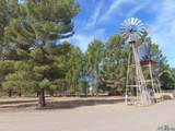 6560 Venture Road - Photo 61