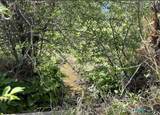 665 Nm Highway 518 - Photo 19