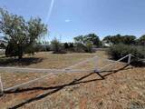 309 Wheatridge Drive - Photo 6